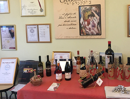 意大利品酒之旅-意大利埃特纳火山边上的葡萄园